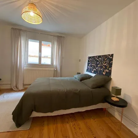 Le Coeur Saint-agne Apartamento Toulouse